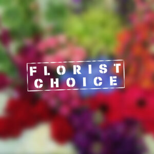 Florist Choice Luxury Floral Arrangement