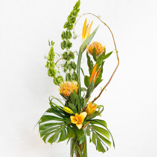 Tropical Delight