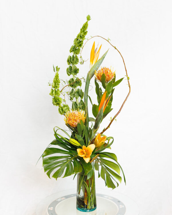 Tropical_Delight Tropical Delight